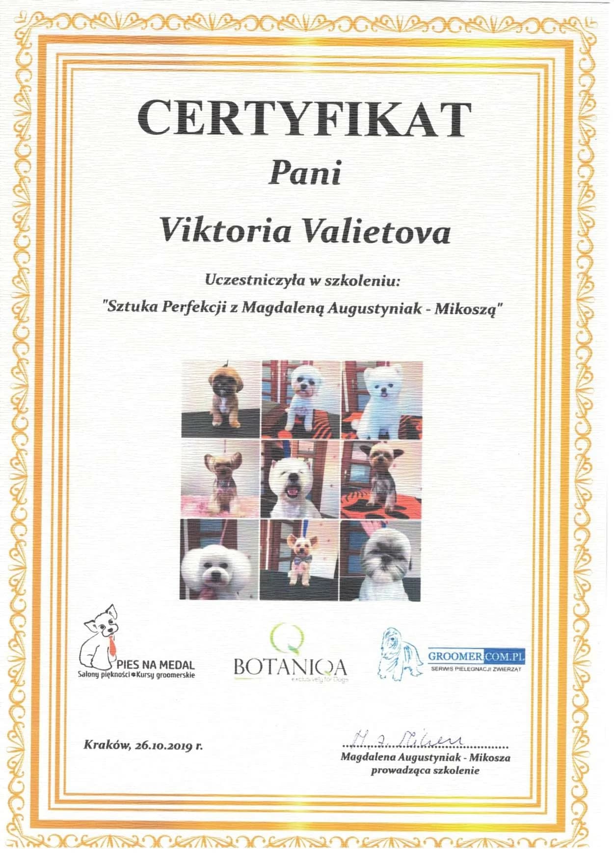 Professional Dog Grooming Certificate 10 - Vickie's Certification from Recognized Grooming Institution