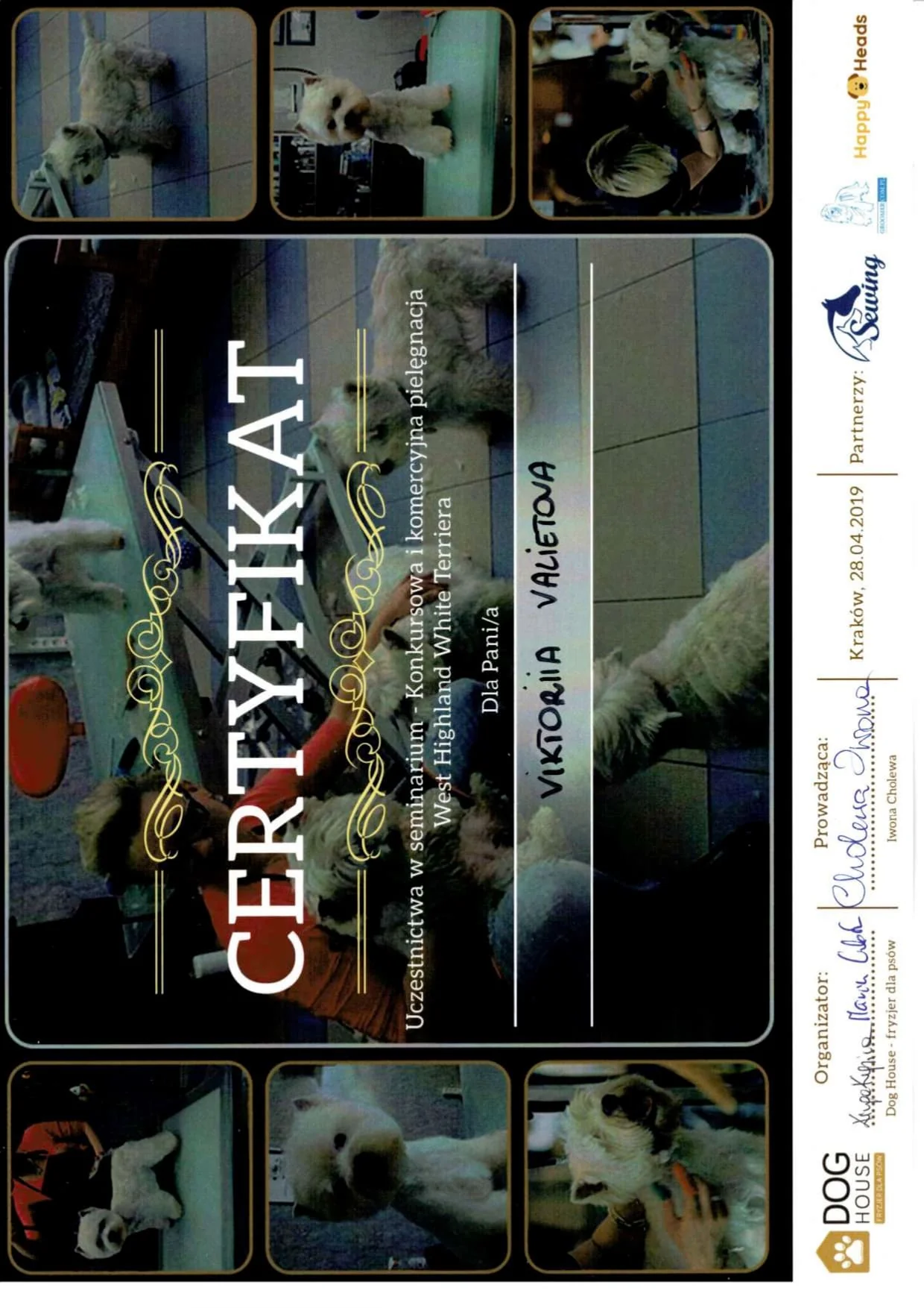 Professional Dog Grooming Certificate 4 - Vickie's Certification from Recognized Grooming Institution